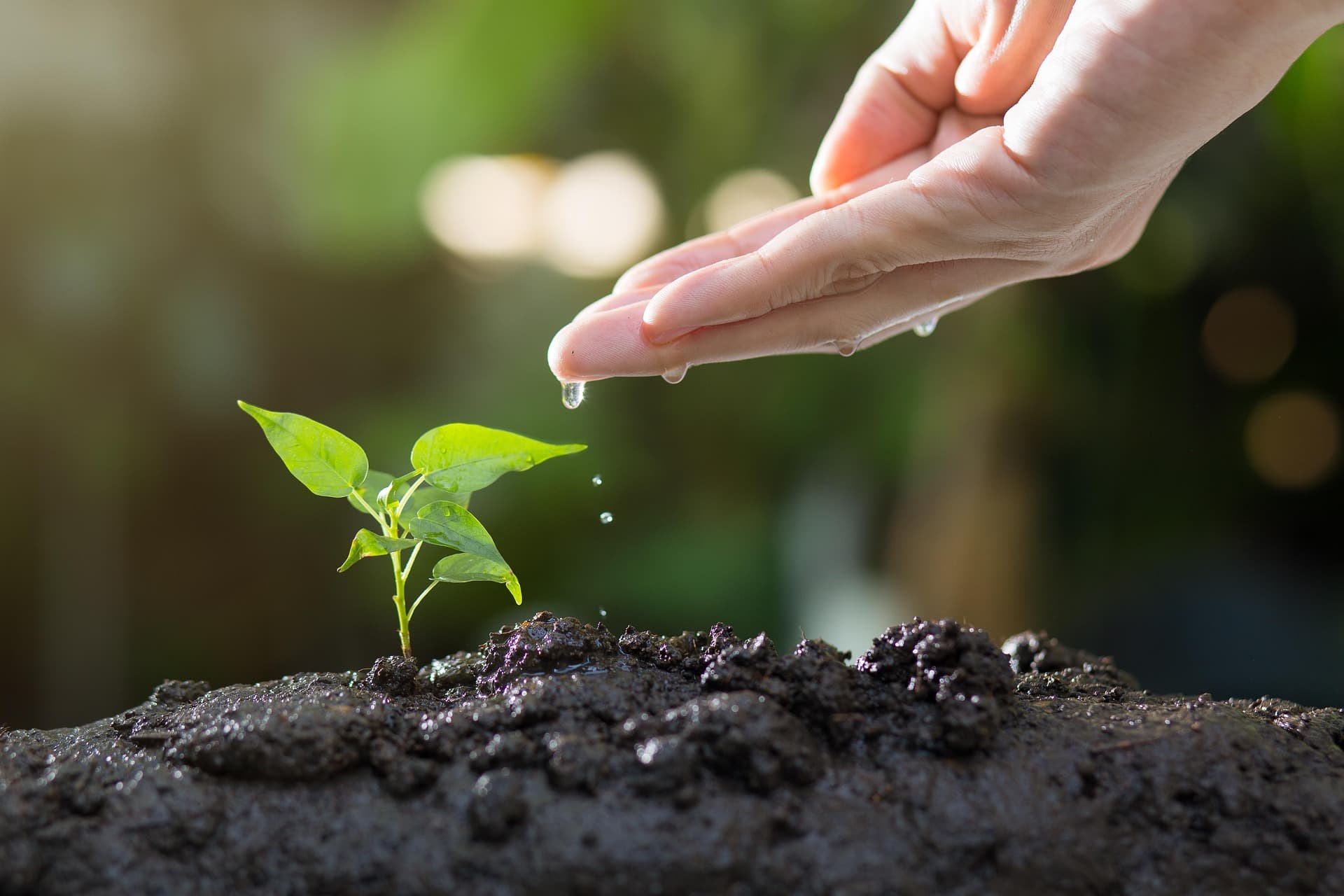 Newfully — Trusted Manufacturing Partner